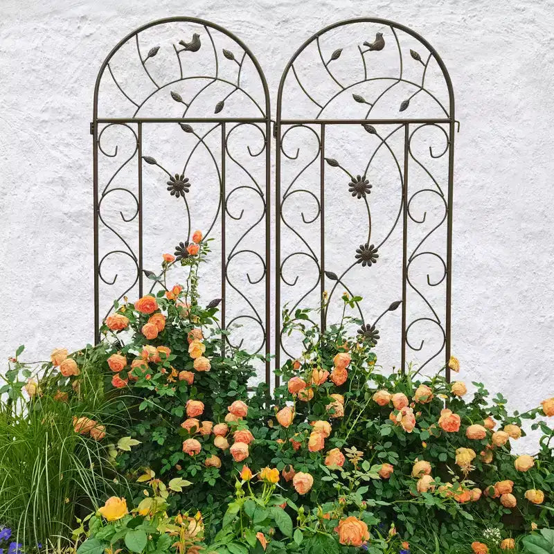 Confezione da 4 tralicci da giardino in metallo 220x50 cm - Antiruggine, marrone, per piante e fiori rampicanti da esterno